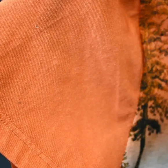 Etro Milano T-Shirt Size 40 Multicolor Zebra Print V-Neck Cotton Graphic Tee - Picture 9 of 12